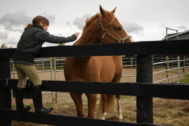 Orangeville, Ontario / Kanada - 10 / 03 / 2009: At çiftliğinde at okşayan ve atlarla eğlenen sevimli kız