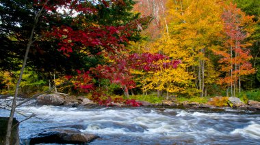 The river rapid in a public park with autumn leaf color.