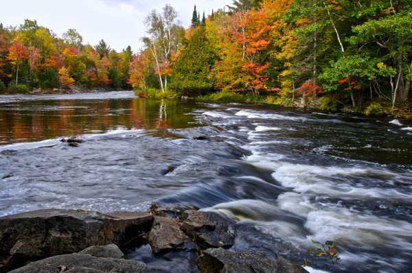 River Rapid Public Park Autumn Leaf Color — Φωτογραφία Αρχείου