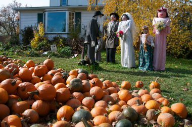 Arka planda bebeklerle birlikte balkabakları satışa hazır.