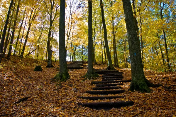 Глядя Валуны Картонных Деревьев Осенью — стоковое фото