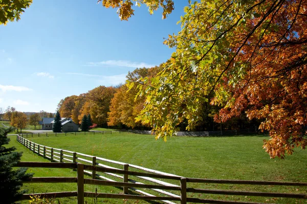 Una Granja Caballos Rodeada Color Otoñal Ontario Canda — Foto de Stock