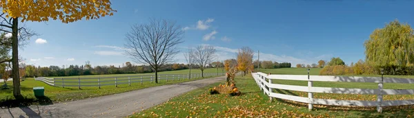 King City Ontario Kanada 2012 Panoramiczny Widok Wejście Gospodarstwa Jesienią — Zdjęcie stockowe