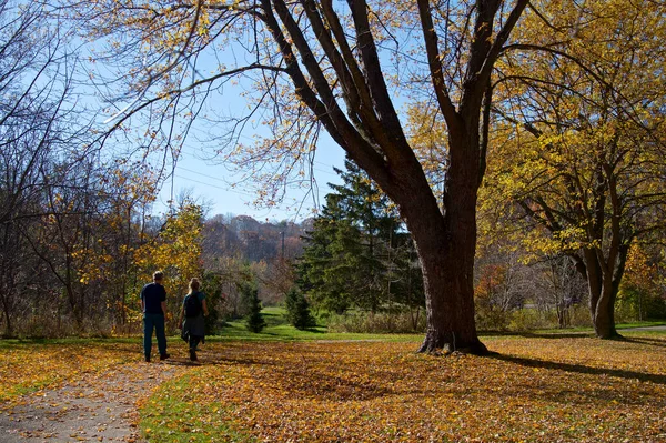 Stile Vita Sano Passeggiate Coppia Nel Parco Pubblico — Foto Stock