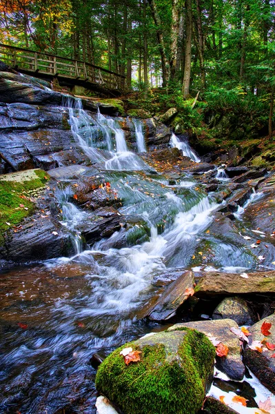 Waterfall Autumn Forest Rock Moss Maple Leaf Wood Bridge — Stock Photo, Image