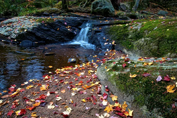 Осенний Пейзаж Скалы Покрытые Мхом Опавшие Листья Горная Река Водопадом — стоковое фото