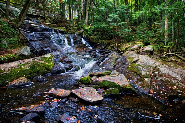 Vodopád Podzimním Lese High Fall Park Bracebridge Ontario Kanada — Stock fotografie