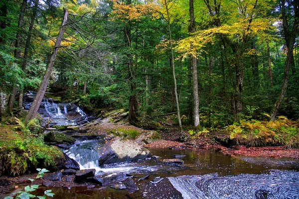 Krásný Vodopád Veřejném Parku Muskoka Podzim — Stock fotografie