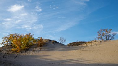 Sonbahar yaprağı renginde kumulların renkli manzarası