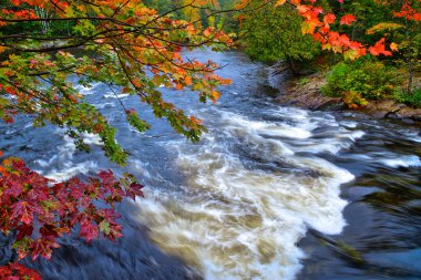 Uzun pozlamalarda sonbahar yaprağı rengi ve nehir hızının yüksek açılı görünümü