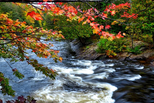 Υψηλή Γωνία Άποψη Του Ποταμού Ταχεία Χρώμα Των Φθινοπωρινών Φύλλων — Φωτογραφία Αρχείου