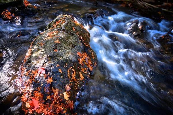 Une Pierre Dans Rivière Rapide Dans Aire Conservation Limehouse — Photo