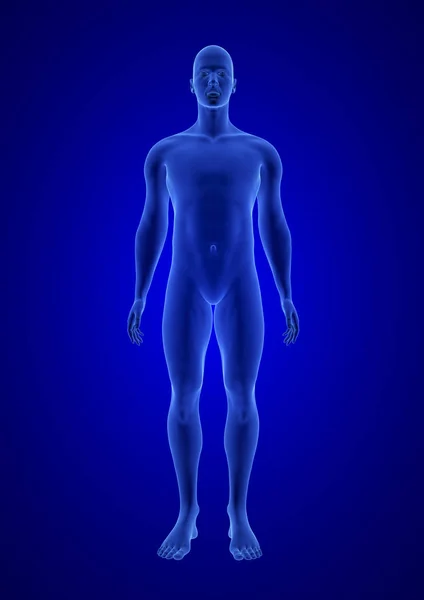 Blauer menschlicher Anatomie Körper 3D-Scanrender auf blauem Hintergrund — Stockfoto