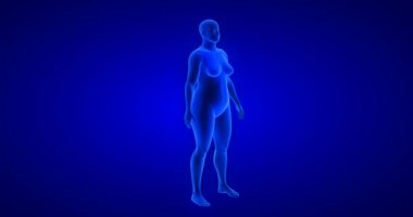Kilo kaybı - vücut değişimi - kadın teması. Mavi İnsan Anatomisi 3 boyutlu tarama