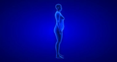 Kilo kaybı vücut değişimi, yan görüş, kadın teması. Mavi İnsan Anatomisi 3 boyutlu tarama