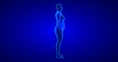Kilo kaybı vücut değişimi, yan görüş, kadın teması. Mavi İnsan Anatomisi 3 boyutlu tarama
