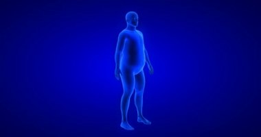 Kilo kaybı - vücut dönüşümü - erkek teması. Mavi İnsan Anatomisi 3 boyutlu tarama