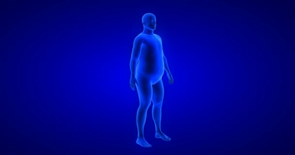 Потеря веса - трансформация тела - мужская тема. Синяя анатомия человеческого тела 3D-сканирование — стоковое видео