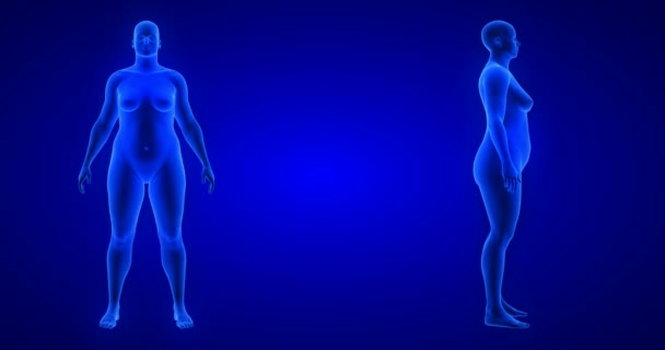 Gewichtsverlies lichaam transformatie - voor-en zijaanzicht, vrouw thema. Blue Human Anatomy Body 3D Scan renderen — Stockvideo