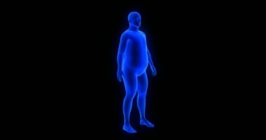 Kilo kaybı - vücut dönüşümü - erkek teması. Mavi İnsan Anatomisi 3 boyutlu tarama