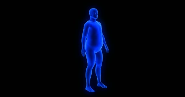 Perda de peso - transformação do corpo - tema do homem. Escaneamento 3D do corpo humano azul da anatomia renderizar — Vídeo de Stock