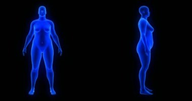 Kilo kaybı vücut değişimi, ön ve yan görünüm, kadın teması. Mavi İnsan Anatomisi 3 boyutlu tarama, siyah arkaplan
