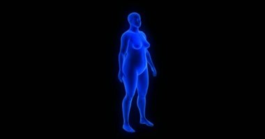 Kilo kaybı - vücut dönüşümü - erkek teması. Mavi İnsan Anatomisi 3 boyutlu tarama