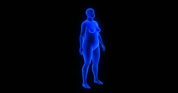 Hubnutí - transformace těla - mužské téma. 3D skenování těla Blue Human Anatomy Body — Stock video