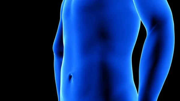 Transformation des männlichen Fitness-Körpers - vorher, Detail der Bauchmuskeln - Animation zum Muskelaufbau auf schwarzem Hintergrund — Stockfoto