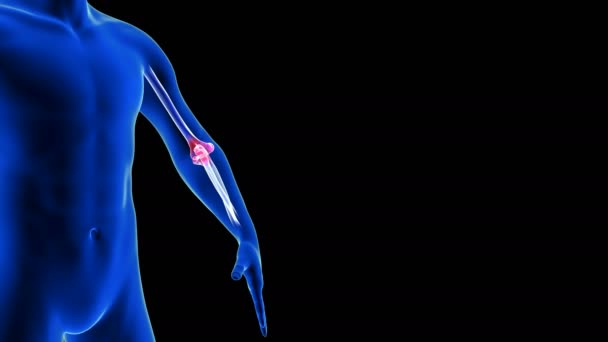 Elleboog pijn close-up animatie. Blue Human Anatomy Body 3D Scan render - naadloze lus op zwarte achtergrond — Stockvideo