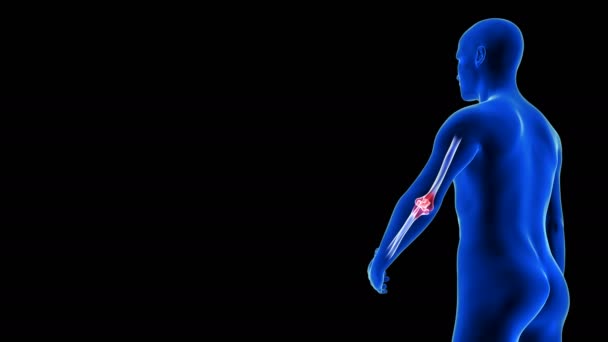 Αγκώνας Pain animation από την πίσω όψη. Blue Human Anatomy Body 3D Scan καθιστούν - αδιάλειπτη βρόχο σε μαύρο φόντο — Αρχείο Βίντεο