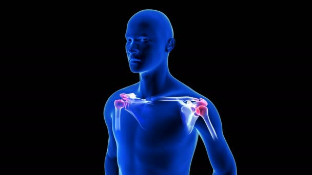 कंधे दर्द बंद-अप एनीमेशन। ब्लू ह्यूमन एनाटॉमी बॉडी 3 डी स्कैन रेंडर ब्लैक पृष्ठभूमि पर सीमलेस लूप — स्टॉक वीडियो