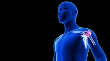 Omuz ağrısı, yakın plan animasyon. Mavi İnsan Anatomisi 3D Tarama Taraması - siyah arkaplan üzerinde kusursuz döngü