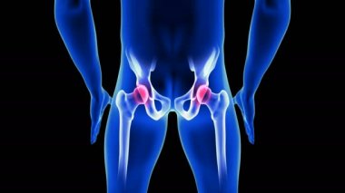 Kalça Ağrısı ön görüntüsü yakın çekim animasyonu. Mavi İnsan Anatomisi 3D Tarama Taraması - siyah arkaplan üzerinde kusursuz döngü