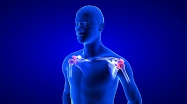 Omuz ağrısı, yakın plan animasyon. Mavi insan anatomisi 3D tarama görüntüleme - mavi arkaplan üzerinde kusursuz döngü