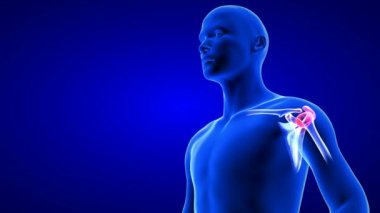 Omuz ağrısı, yakın plan animasyon. Mavi insan anatomisi 3D tarama görüntüleme - mavi arkaplan üzerinde kusursuz döngü