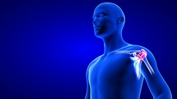 Shoulder Pain close-up 애니메이션. 파란 인간 해부학 체의 3D 스캔 결과 - 푸른 배경 위에 매끈하지 않은 고리 — 비디오