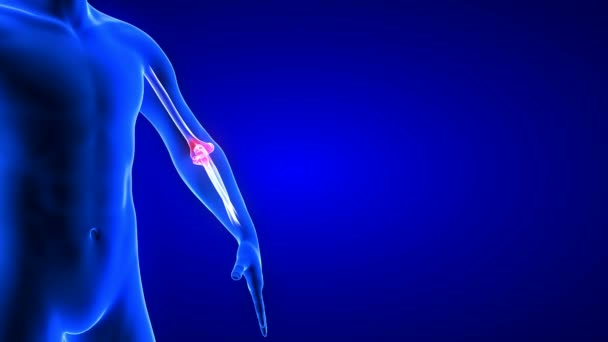 Animace loketní bolesti zblízka. Blue Human Anatomy Body 3D Scan rendering - bezešvá smyčka na modrém pozadí — Stock video