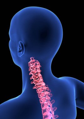 Servikal omurga ağrısı. Mavi İnsan Anatomisi 3D, siyah arkaplanda canlandırma