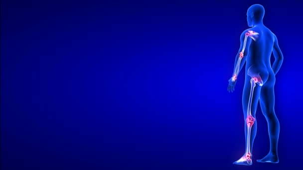 Wspólna animacja bólu z boku. Blue Human Anatomy Body 3D Scan renderuje - obracająca się pętla bez szwu na niebieskim tle — Wideo stockowe