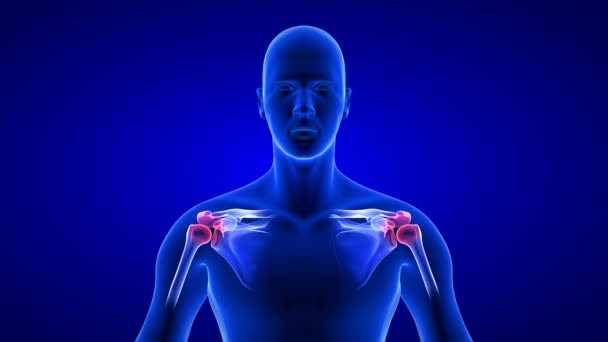 어깨 통증이 애니메이션을 클로즈업 한 모습. 푸른 인간 해부학 신체 3D 스캔 - 검은 배경 위에 매끈하지 않은 고리 — 비디오