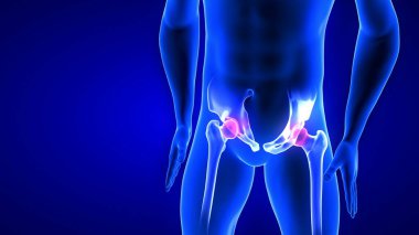 Kalça Ağrısı 'nın yakın plan çizimi. Mavi İnsan Anatomisi 3 boyutlu tarama mavi arka planda