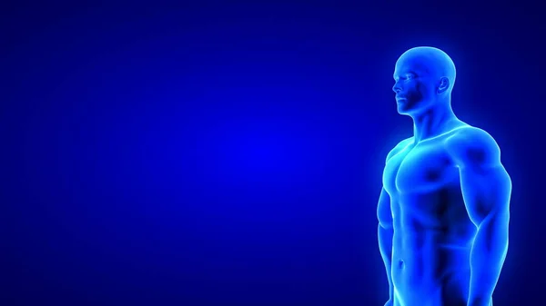 Мужской фитнес-тело - мышечная масса строительство иллюстрации на синем фоне — стоковое фото