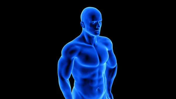Männlicher Fitnesskörper - Darstellung des Muskelaufbaus auf schwarzem Hintergrund — Stockfoto