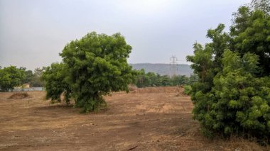 güzel doğa manzarası manzara, ağaçlar