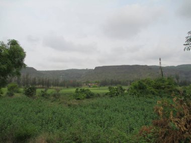 güzel doğa manzarası dağların, ağaçların ve gökyüzünün manzarası