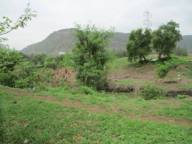 güzel doğa manzarası dağların, ağaçların ve gökyüzünün manzarası