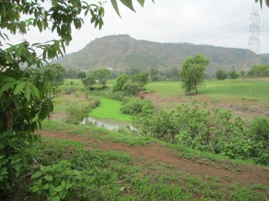 güzel doğa manzarası dağların, ağaçların ve gökyüzünün manzarası