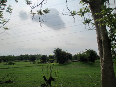 güzel doğa manzarası dağların, ağaçların ve gökyüzünün manzarası