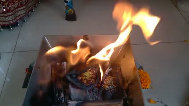 Hawan Kund Feu Brûlant Occasion Fête — Video